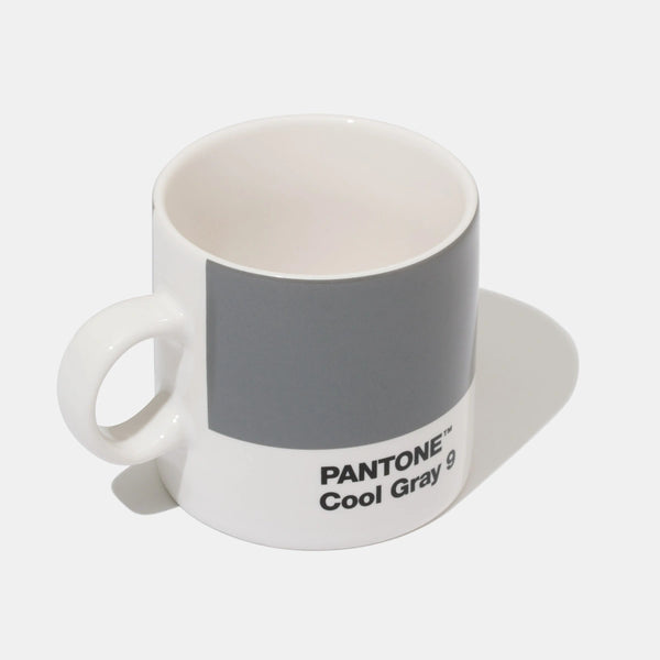 Pantone Espresso Tasse Grau