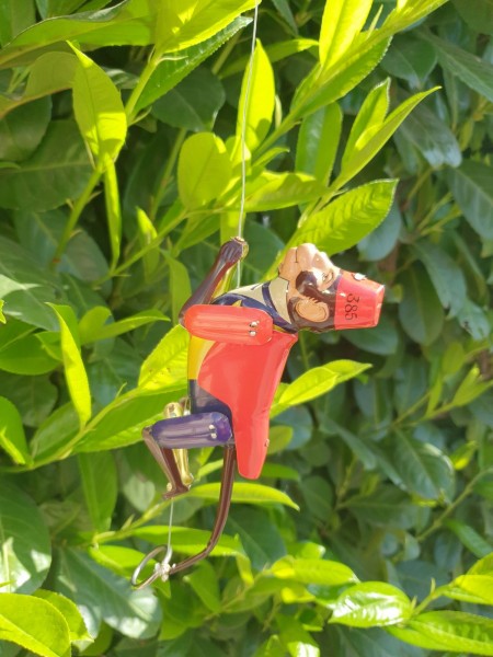 Curt der Kletteraffe