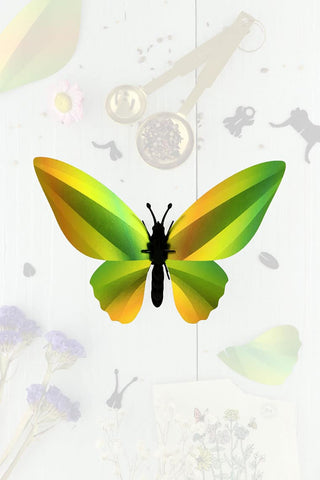 3D Insekt zum selbst zusammenbauen Schmetterling Birdwing mangogrün
