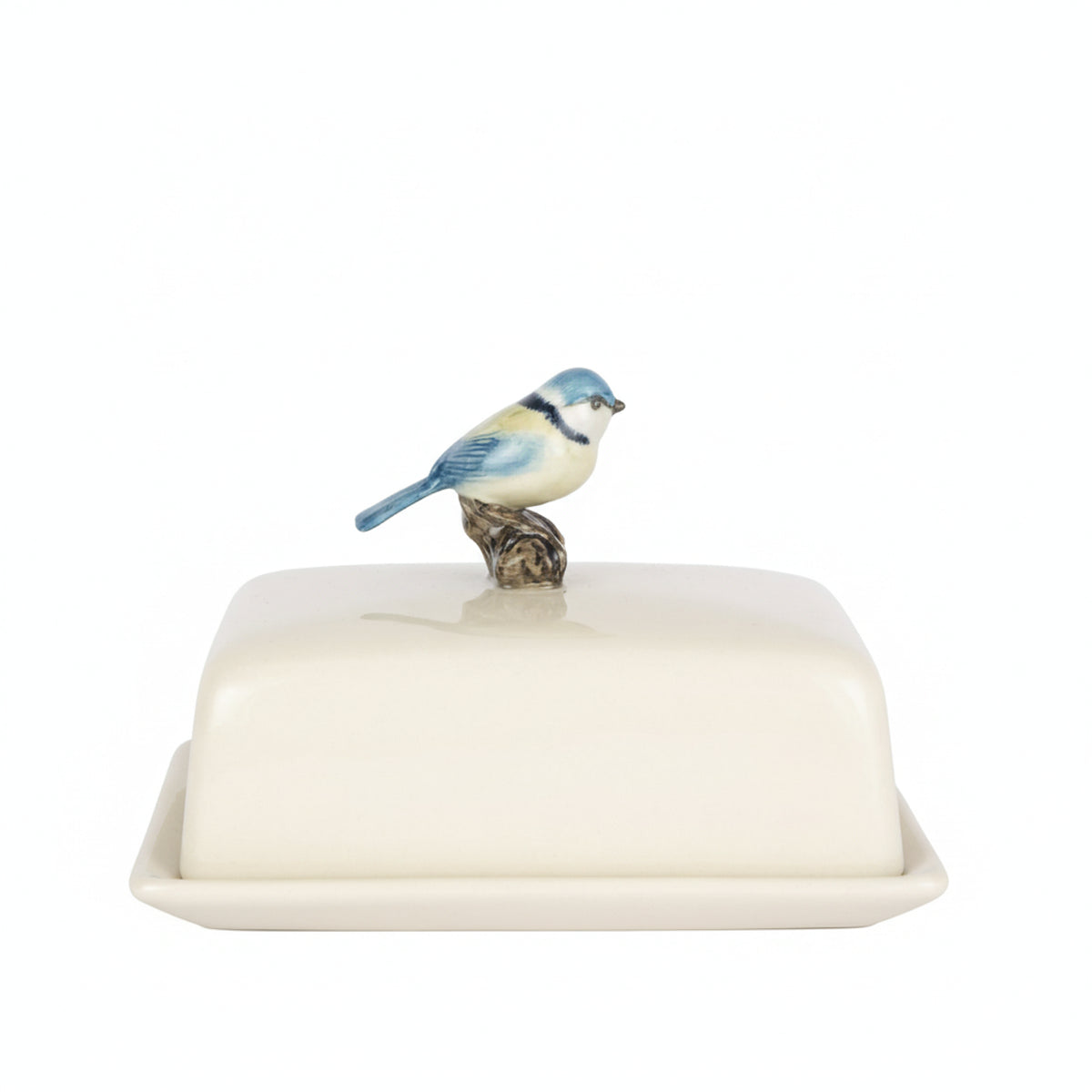 Butterdose Blaumeise