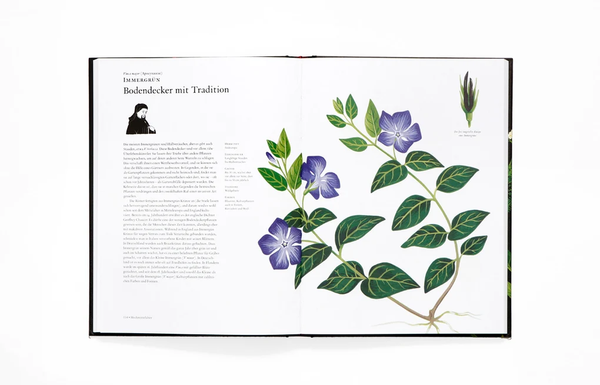 Die Geschichte der Blumen und wie sie unsere Lebensweisen veraendert haben.
