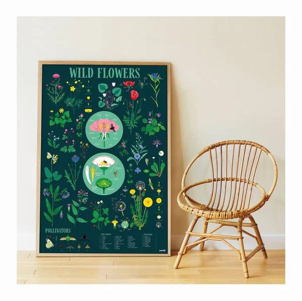 XXL Lernposter mit Stickern - Botanik