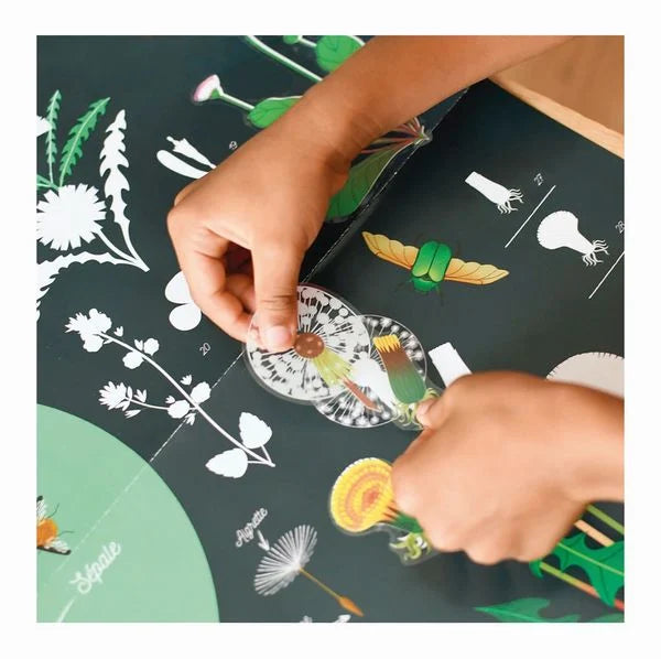 XXL Lernposter mit Stickern - Botanik