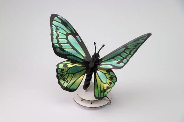 Schmetterling Birdwing grün - 3D Insekt zum selbst zusammenbauen