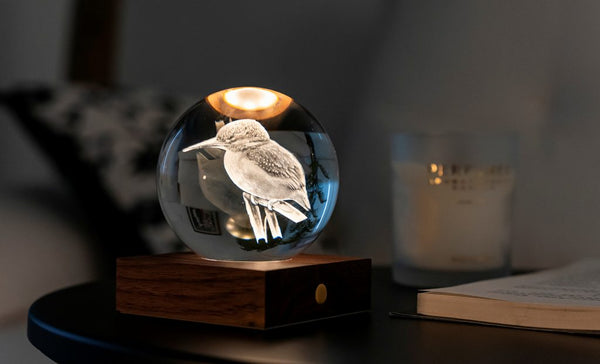 leuchtende Kristallkugel - Kolibri