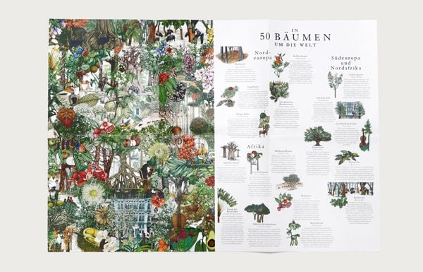 Puzzle - In 50 Bäumen um die Welt