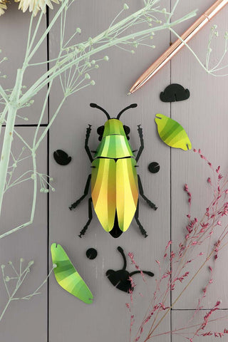3D-Insekten von Assembli zum selber Zusammenbauen in der Farbe Mangogrün