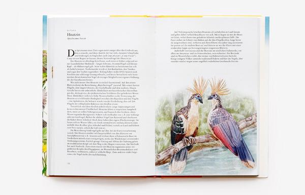 Buch "In 80 Vögeln um die Welt"