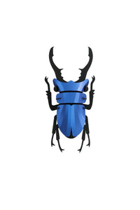 Hirschkäfer kobaltblau - 3D Insekt