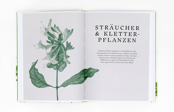 Ausschnitt aus Buch "Essbare Wildpflanzen"