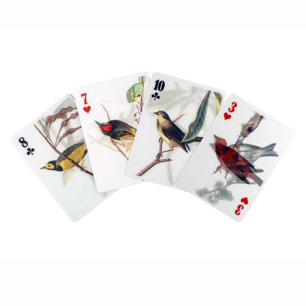 3-D Vogel Poker-Karten