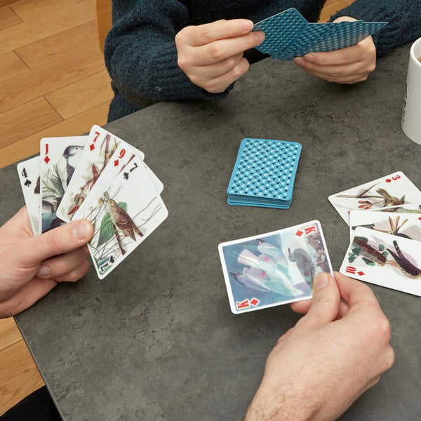 3-D Vogel Poker-Karten