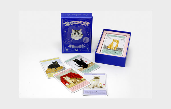 geöffnete Schachtel mit Beispielkarten auf denen Illustrierte Katzen sind