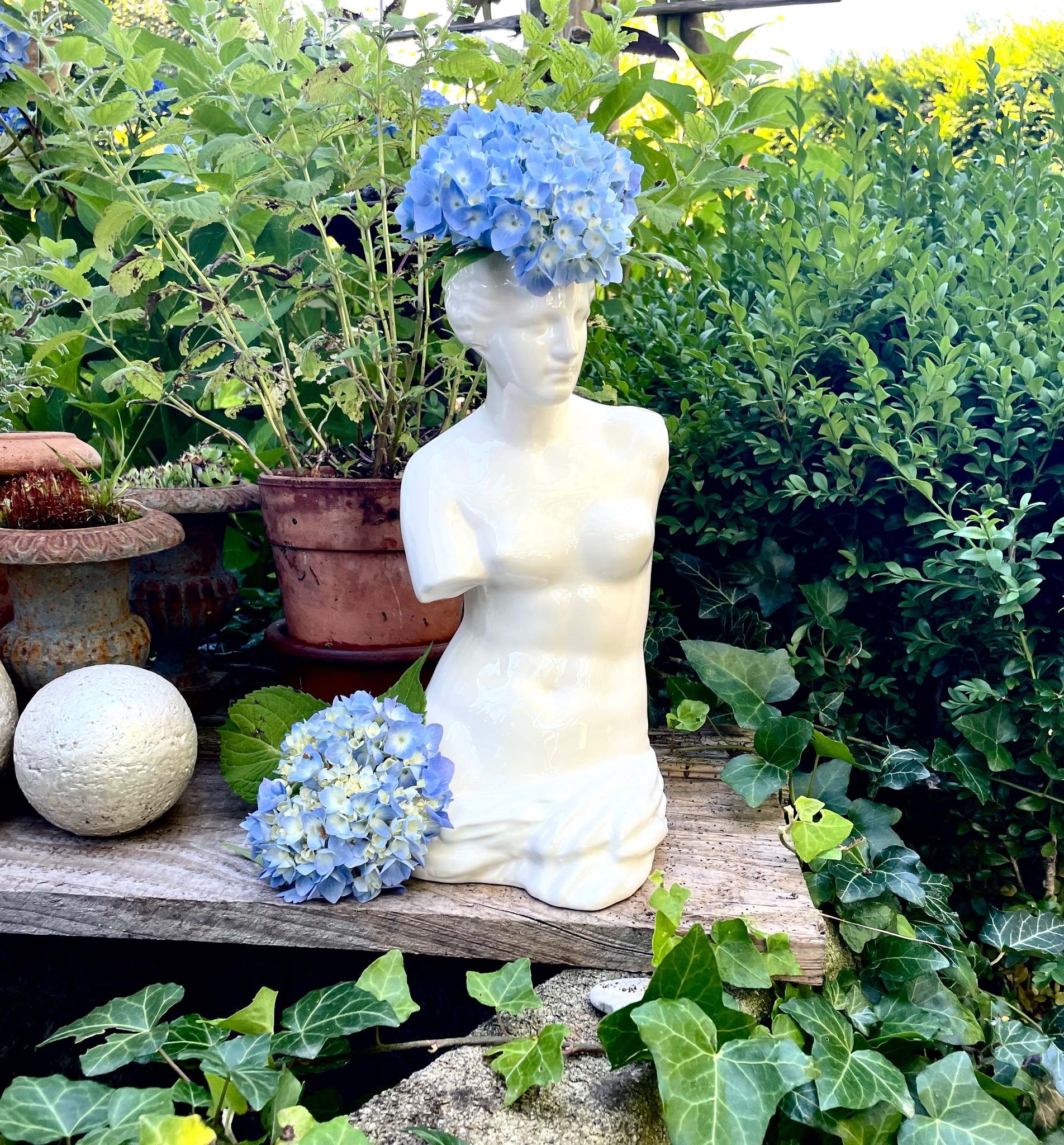 "Venus" Vase im Garten mit blauen Hortensien 
