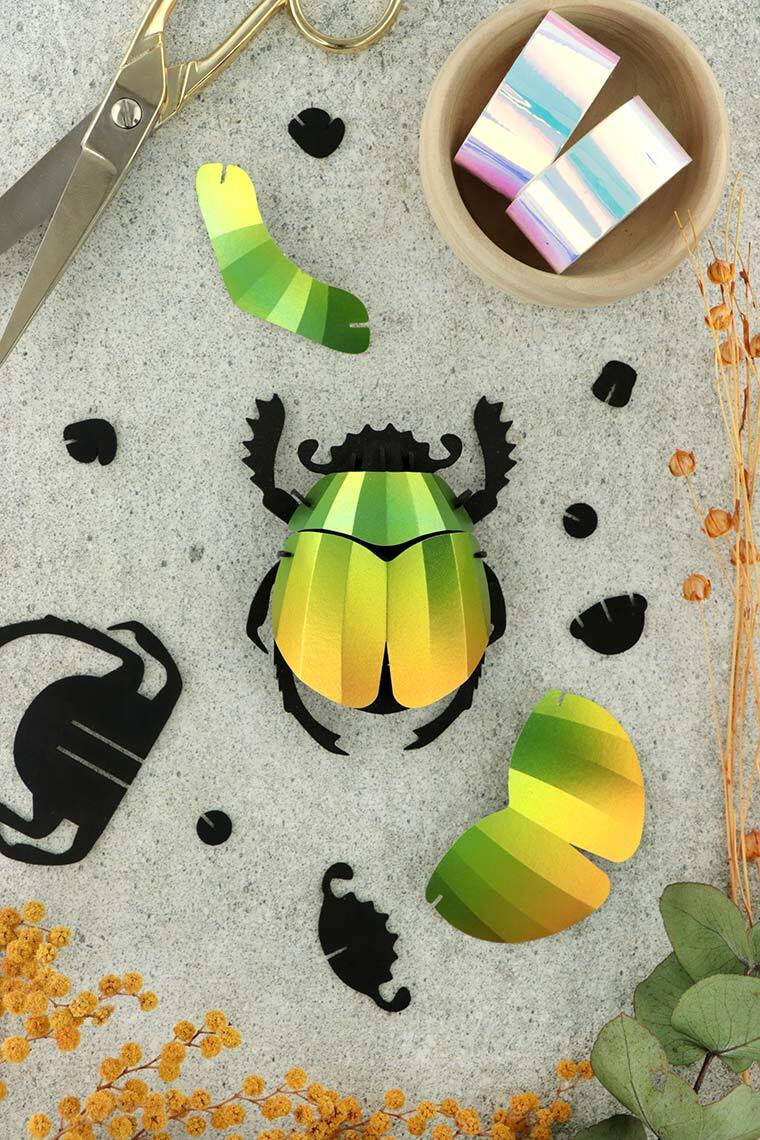 3D Insekten zum zusammenbauen: Blatthornkäfer mangogrün