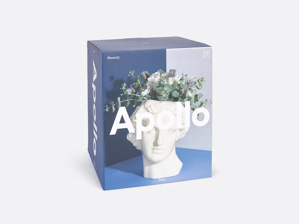 Kopf des Gott Apollo als Vase, in Verpackung