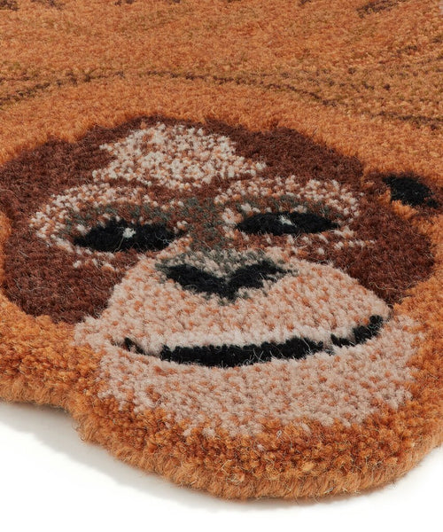 Detailaufnahme des Orangutan Gesichts