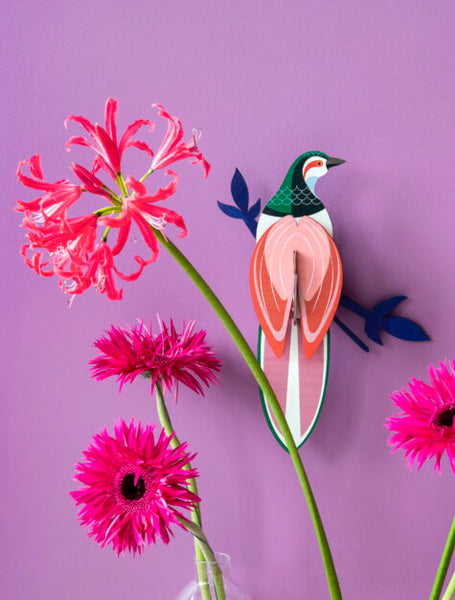 Paradiesvogel "Rani" aus Karton und pflanzlicher Tinte, Wohnaccessoire auf einer Wand 
