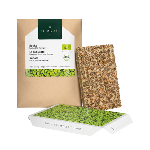 Microgreens Saatpad - Rauke/Ruccola
